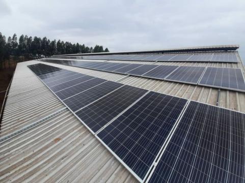 Fernando Rafael Hawerroth