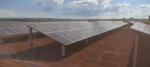 Amauri Egea da Costa