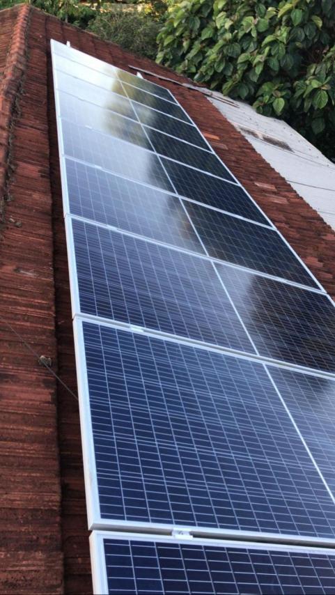 Fátima Regina Pereira