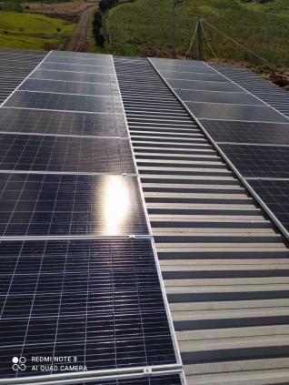 Rodrigo Antônio Koch