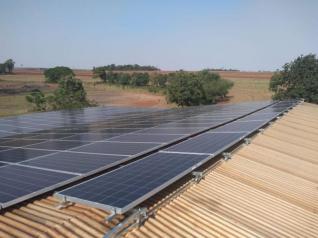 Paulo Carlos Wiedmann