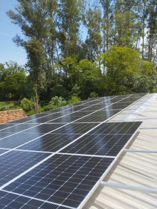 Milton Irineu Schulz