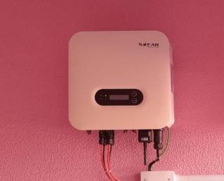 Maria da Penha Ribeiro