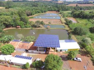 Frigorífico Carlos Stuany