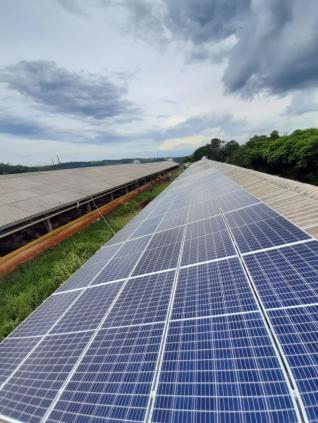 Renato Francisco Bravo