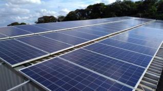 Marelli Comercio de Alimentos