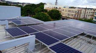 Dante Henrique Mueller