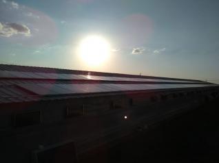 Alberto e Lisete Benetti