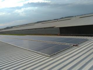 Adelar Jose Holsbach