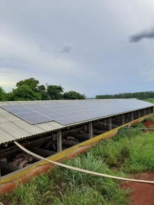 Renato Francisco Bravo