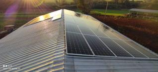 Djanne Brendler Englert