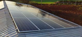 Djanne Brendler Englert