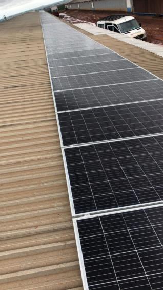 José Aparecido Terribelle